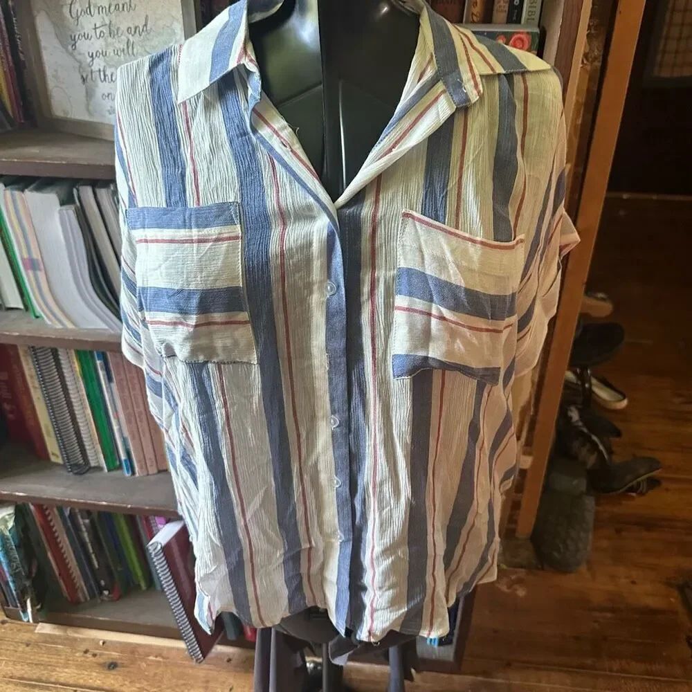 The Good Jane M cropped blue striped button down top